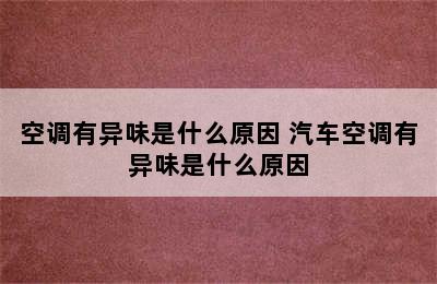 空调有异味是什么原因 汽车空调有异味是什么原因